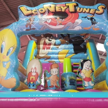 castillo-looney-toones